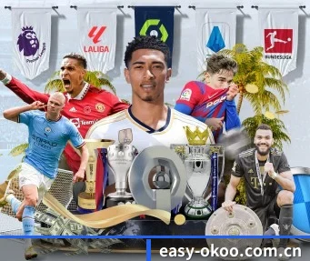 easy-okoo.com.cn APP